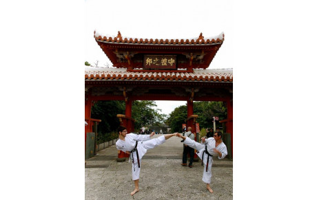 KARATE VILLIERS SUR MARNE