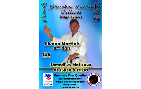 STAGE SYLVAIN MARTINIS 8ème DAN